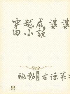 穿越成婆婆的种田小说