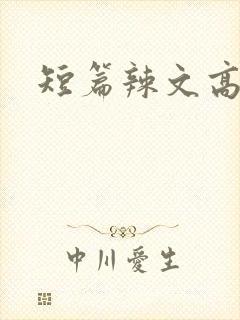 短篇辣文高h文封面