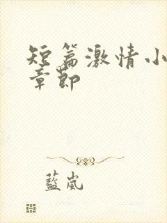 短篇激情小说全章节