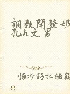 调教开发奶头乳孔h文男