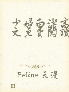 少妇白洁高义全文免费阅读