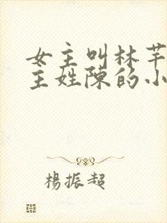 女主叫林芊芊男主姓陈的小说