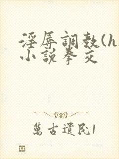 淫辱调教(h)小说拳交