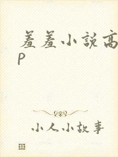 羞羞小说高hnp