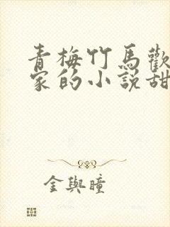 青梅竹马欢喜冤家的小说甜宠文封面