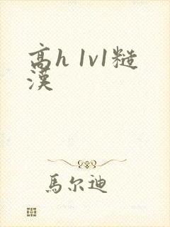 高h 1v1糙汉封面