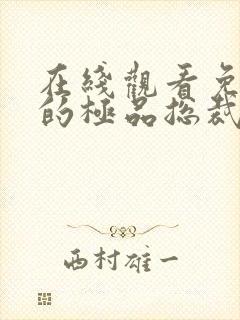 在线观看免费我的极品总裁老婆短剧