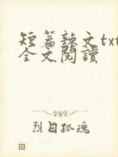 短篇辣文txt全文阅读