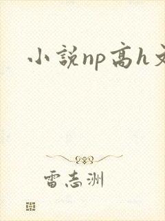 小说np高h文