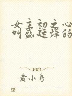 女主初之心男主叫盛廷烨的小说