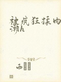 被疯狂揉肉蒂高潮h