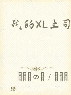 我的XL上司