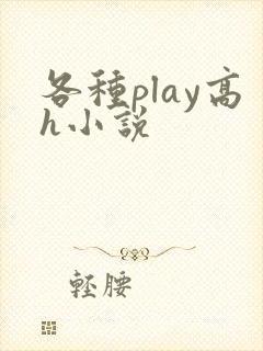 各种play高h小说
