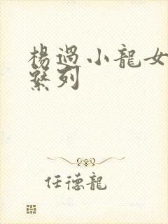 杨过小龙女h文系列封面