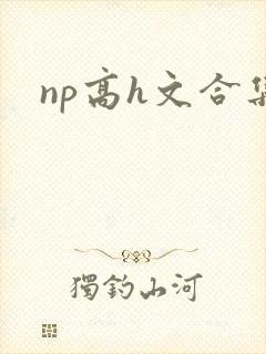 np高h文合集封面