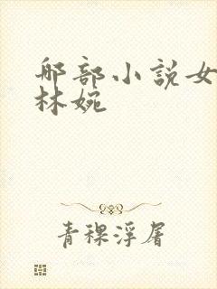 哪部小说女主叫林婉