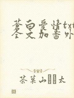 苍白爱情txt全文加番外
