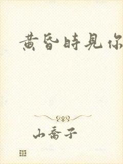 黄昏时见你封面