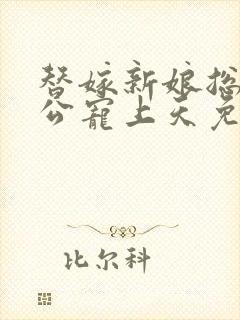 替嫁新娘总裁老公宠上天免费阅读