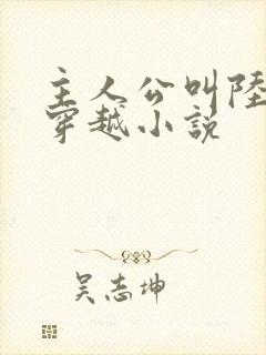 主人公叫陆叶的穿越小说