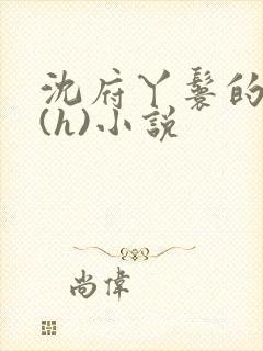 沈府丫鬟的淫史(h)小说封面