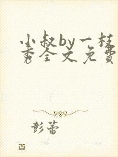 小叔by一枝独秀全文免费阅读笔趣阁最封面