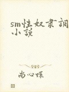 sm性奴隶调教小说封面