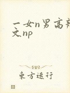 一女n男高辣h文np