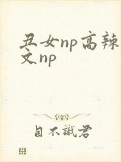丑女np高辣h文np