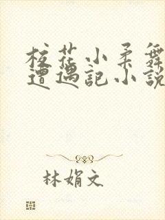 校花小柔舞蹈室遭遇记小说