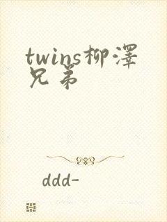 twins柳泽兄弟封面