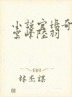 小说官场奇才刘云峰陆羽