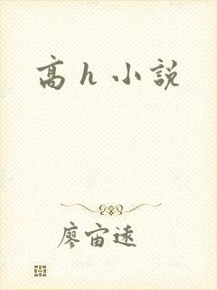 高 h 小说