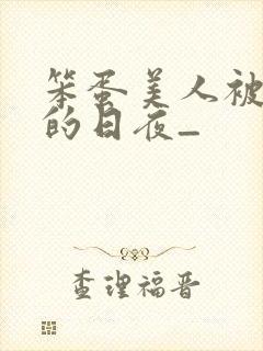 笨蛋美人被疼爱的日夜_