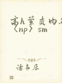 高h荤爽肉欲文〈np〉sm封面