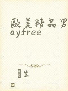 欧美精品男同gayfree