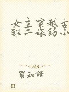 女主穿越古代和离二嫁的小说