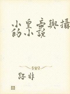 小皇帝与摄政王的小说