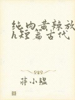 纯肉黄辣放荡高h短篇古代封面