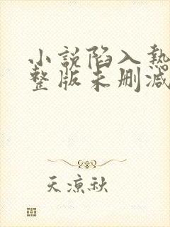 小说陷入热恋完整版未删减小说