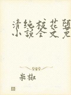 清纯校花堕落记小说全文免费阅读