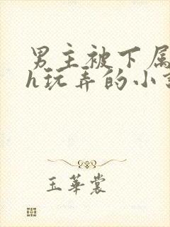 男主被下属调教h玩弄的小说