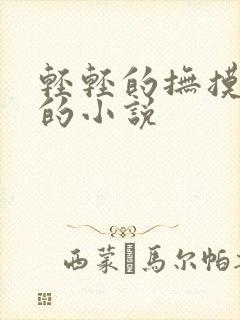 轻轻的抚摸乳房的小说