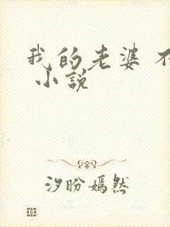 我的老婆 不详 小说