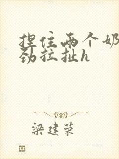 捏住两个奶头使劲拉扯h