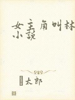 女主角叫林念的小说