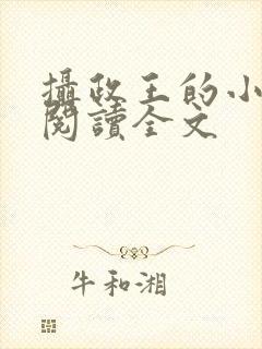 摄政王的小闲妻阅读全文