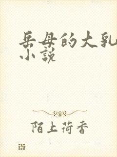 岳母的大乳房 小说