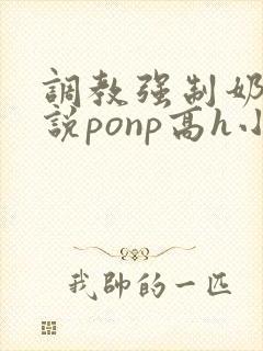调教强制奶子小说ponp高h小说