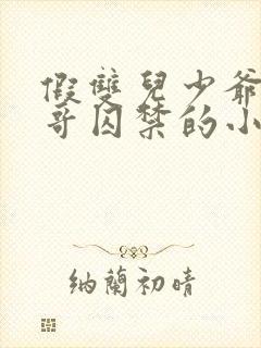 假双儿少爷被大哥囚禁的小说封面